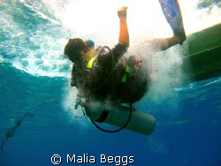 My dive buddy dropping in to meet me.  I used my Canon A6... by Malia Beggs 